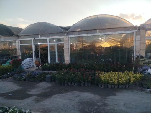 عکس گلخانه سی تی گل 1