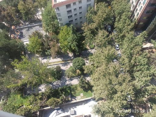 عکس بوستان زعفرانیه