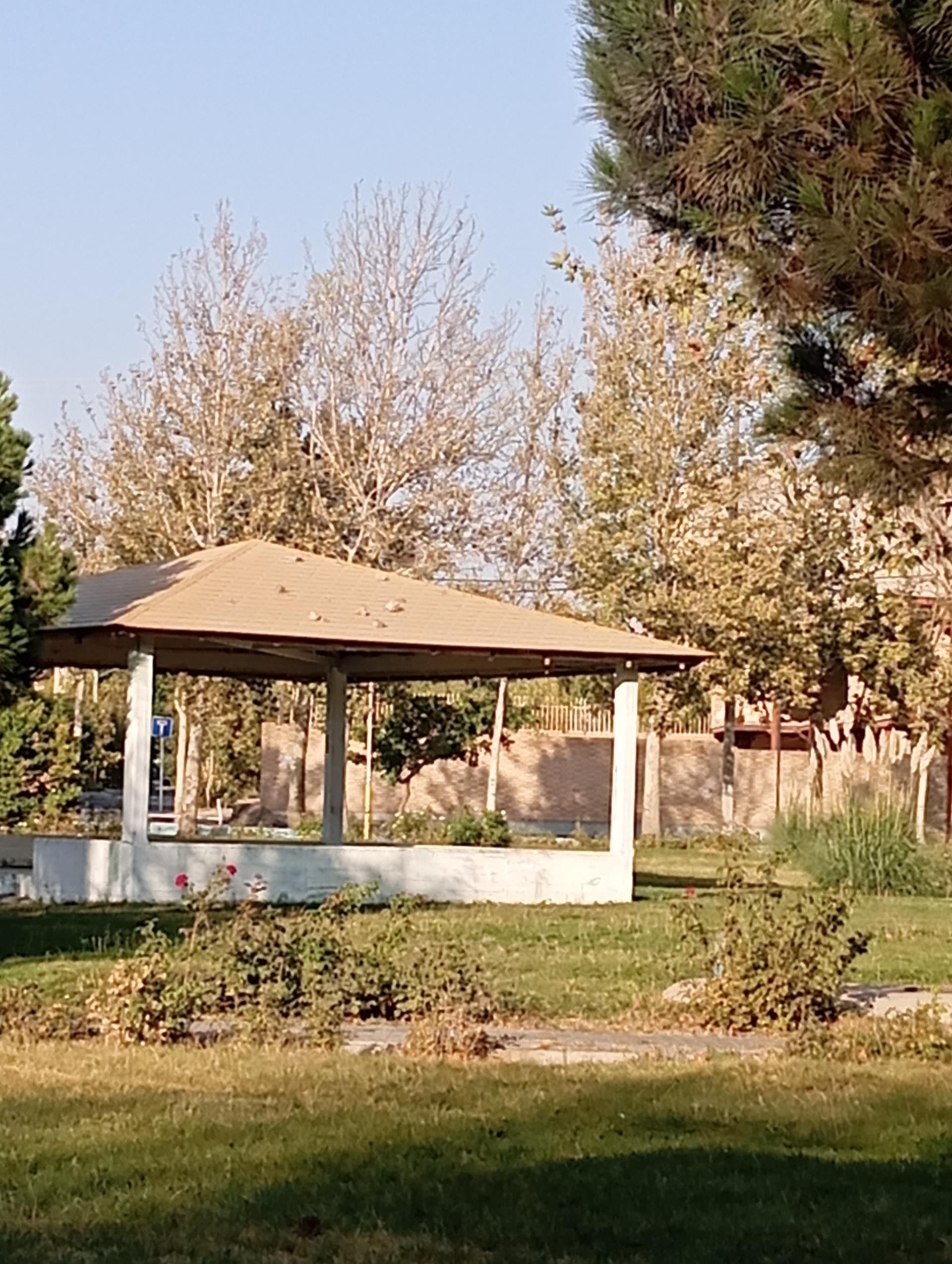 عکس بوستان لاله