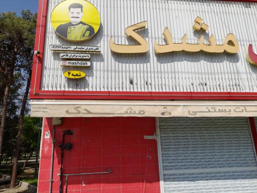 عکس لبنیات و بستنی سنتی مشدک