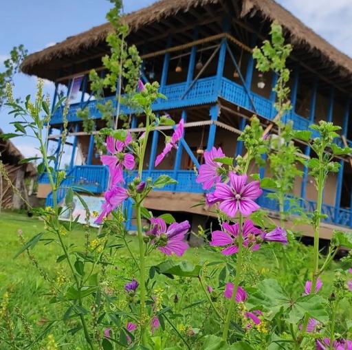 عکس اقامتگاه بومگردی پیله آقا صفری