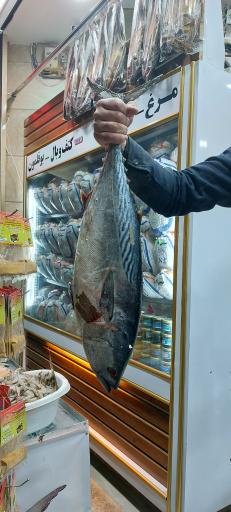 عکس ماهی فروشی