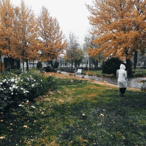 عکس بوستان لاله