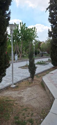 عکس بوستان گل محمدی