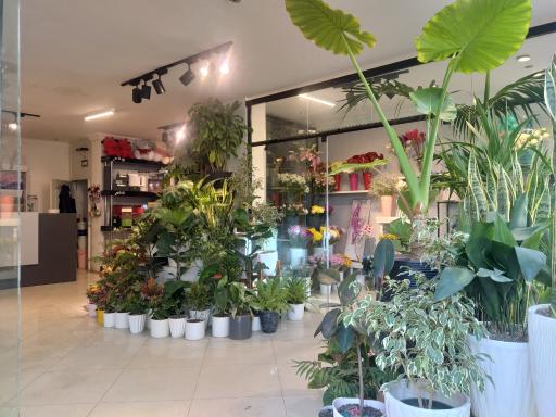 عکس گالری گل شجاعی