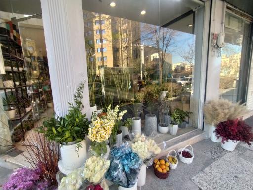 عکس گالری گل شجاعی