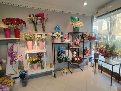 عکس گالری گل شجاعی