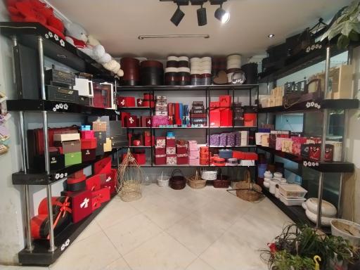 عکس گالری گل شجاعی