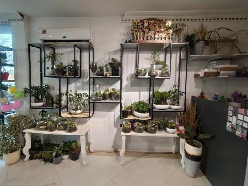 عکس گالری گل شجاعی