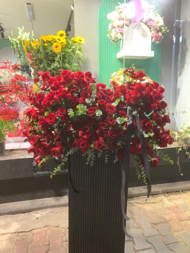 عکس گالری گل شجاعی