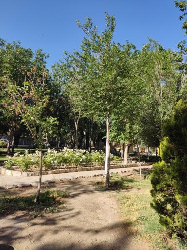 بوستان گل محمدی