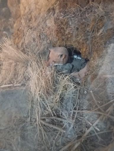 عکس آبدرمانی رویال پارک