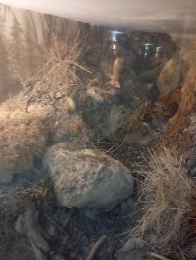 عکس آبدرمانی رویال پارک