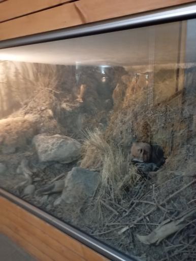 عکس آبدرمانی رویال پارک