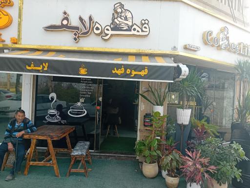 عکس قهوه لایف
