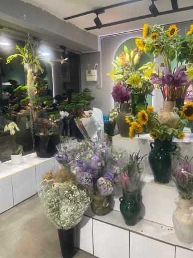 گالری گل شجاعی