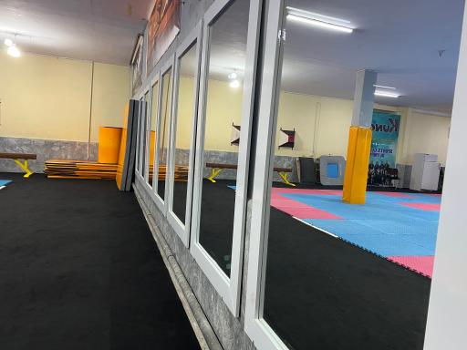عکس رستار