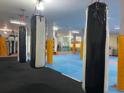 عکس رستار