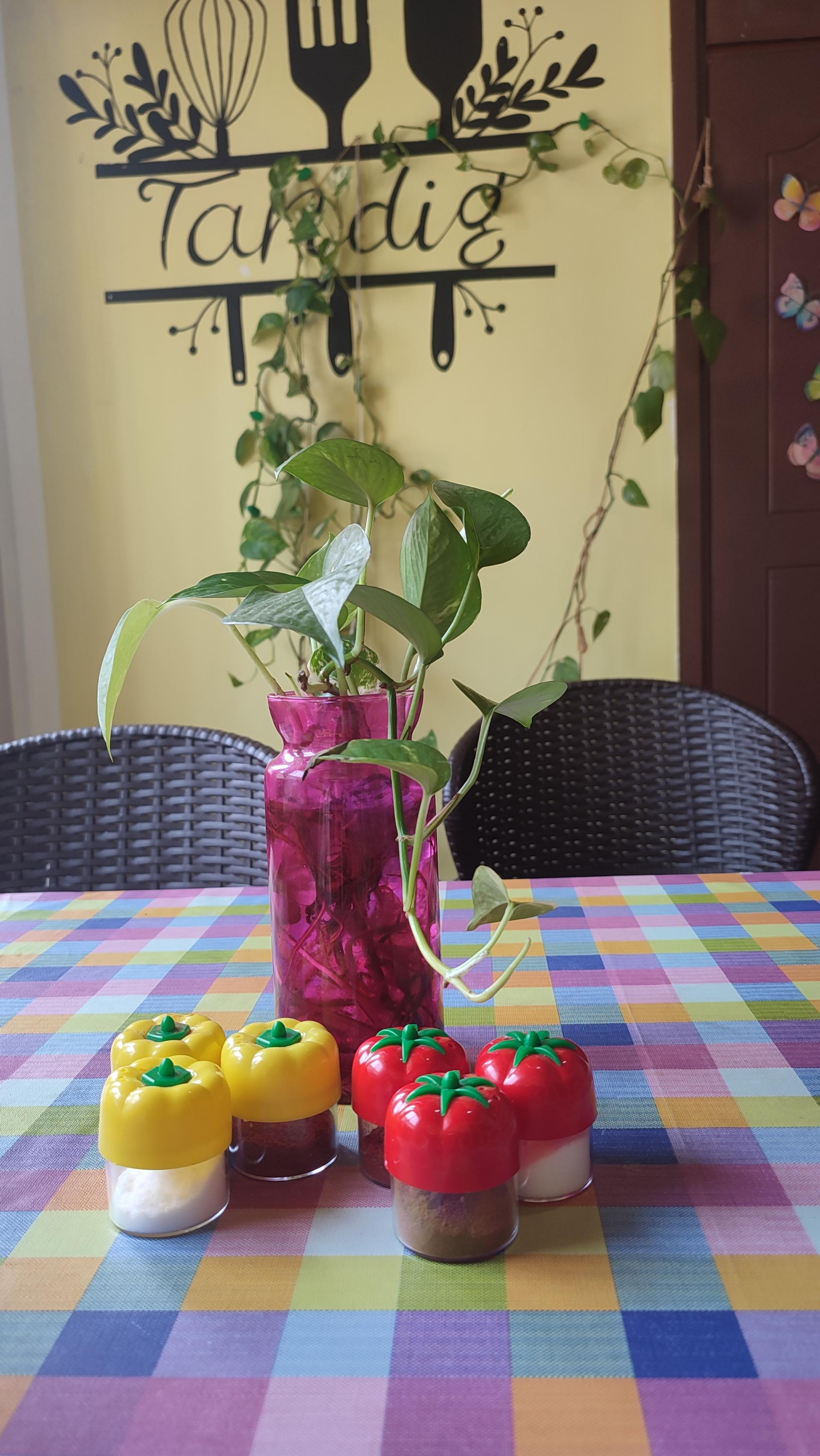 عکس غدای بیرون بر ته دیگ