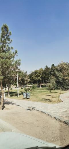 عکس بوستان گل محمدی