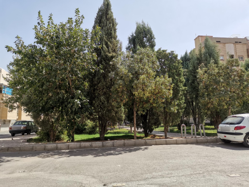 عکس بوستان گل محمدی