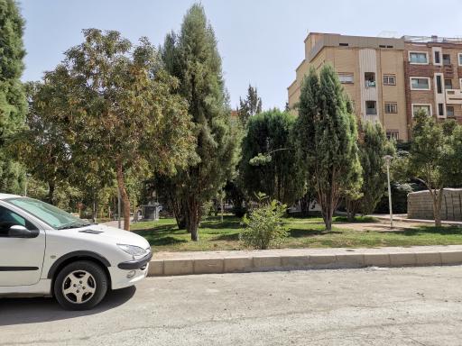 عکس بوستان گل محمدی