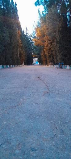 عکس کوهستان پارک قائم