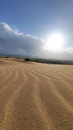 عکس آق قوم مینق 
