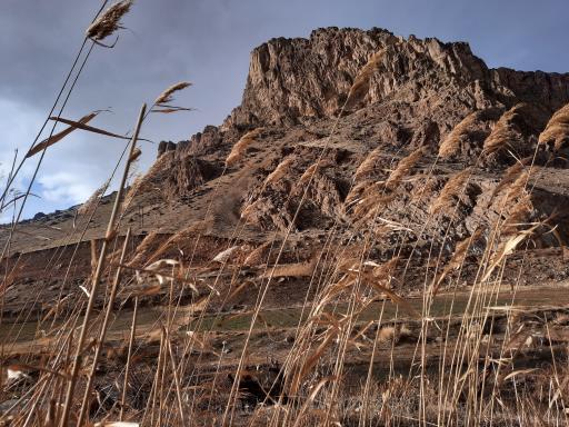 عکس پردنجان