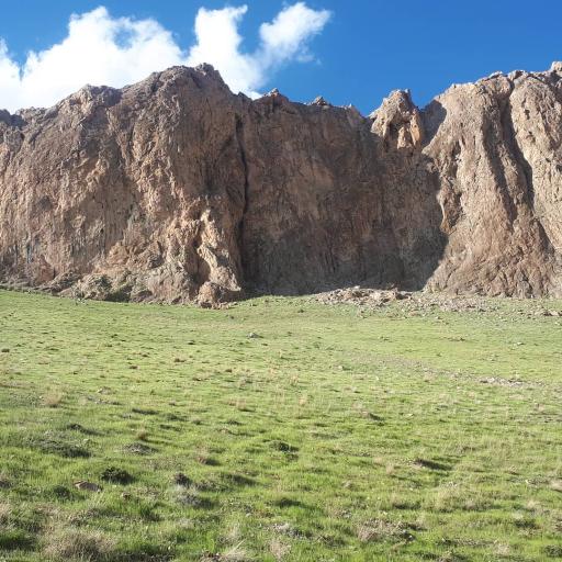 عکس پردنجان