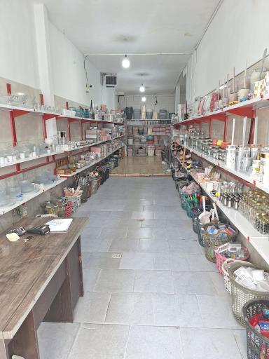 عکس دینو پلاست