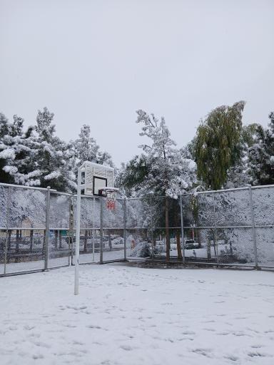 عکس بوستان هاشمی