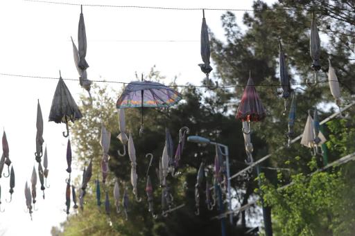 بوستان هاشمی