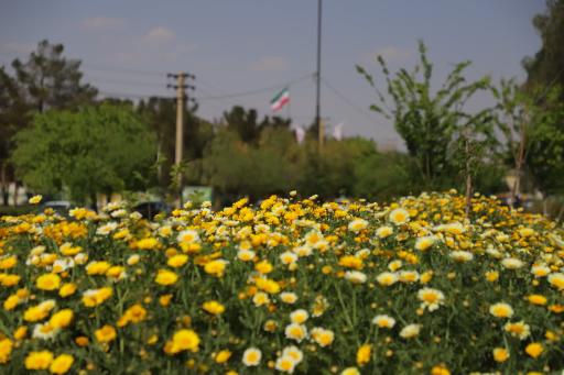 عکس بوستان هاشمی