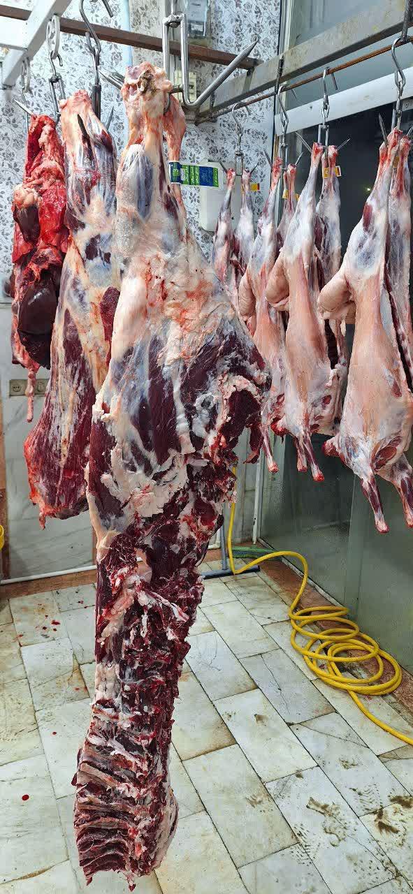 عکس قصابی سجاد