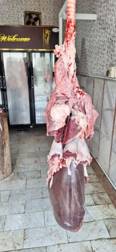 عکس قصابی سجاد