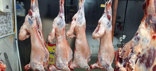 عکس قصابی سجاد