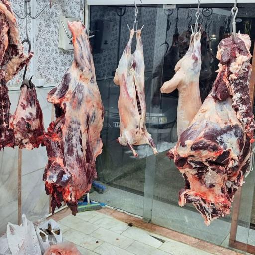 عکس قصابی سجاد