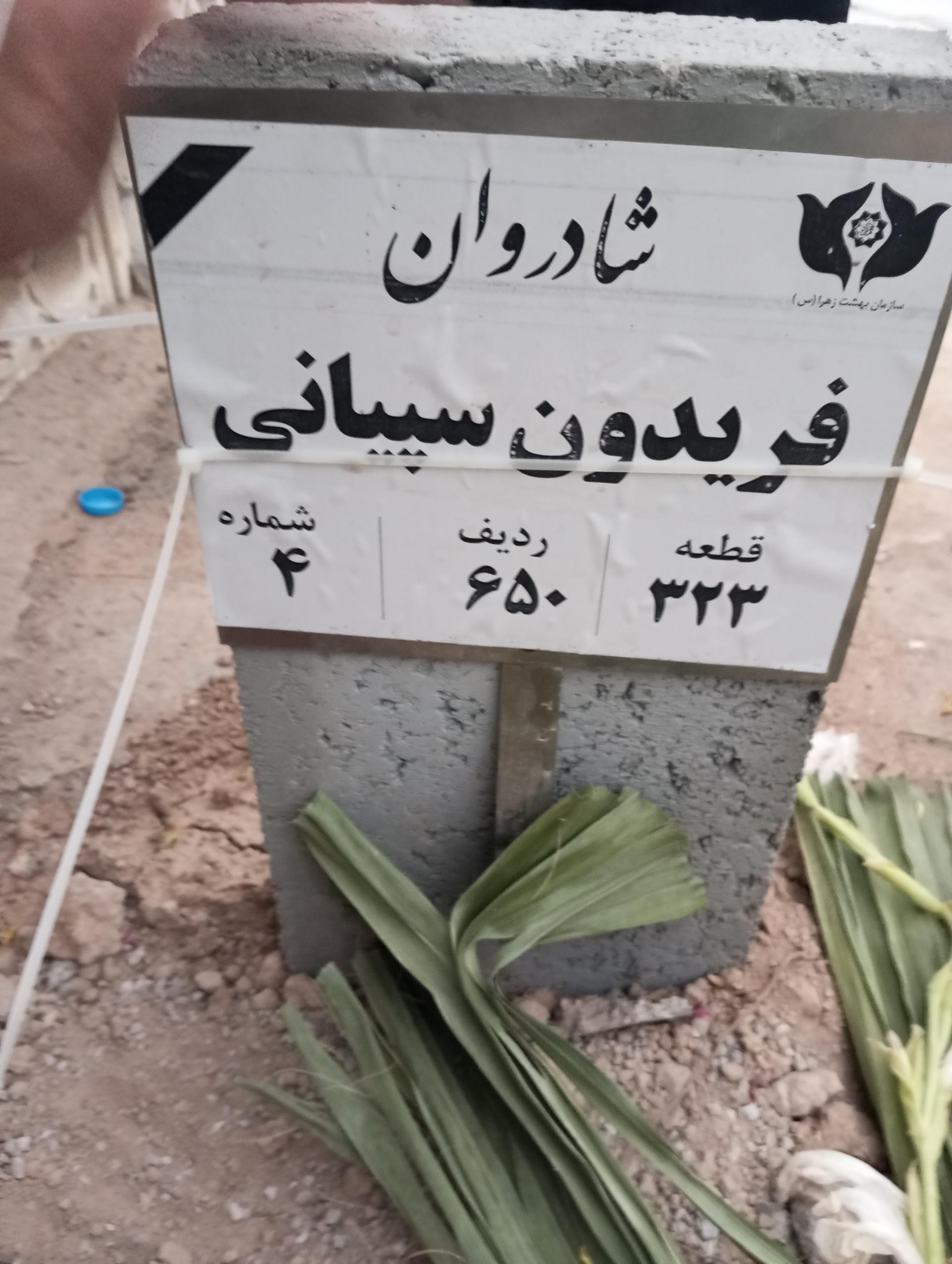 عکس مزار فریدون سپیانی