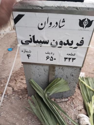 عکس مزار فریدون سپیانی