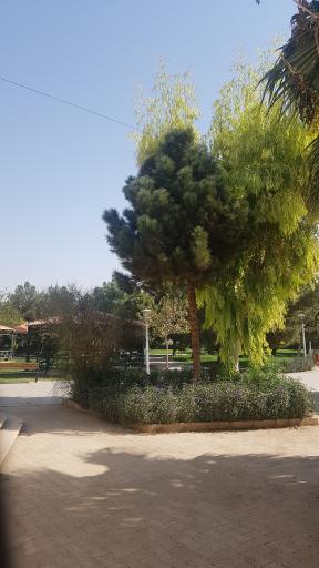 عکس بوستان هاشمی