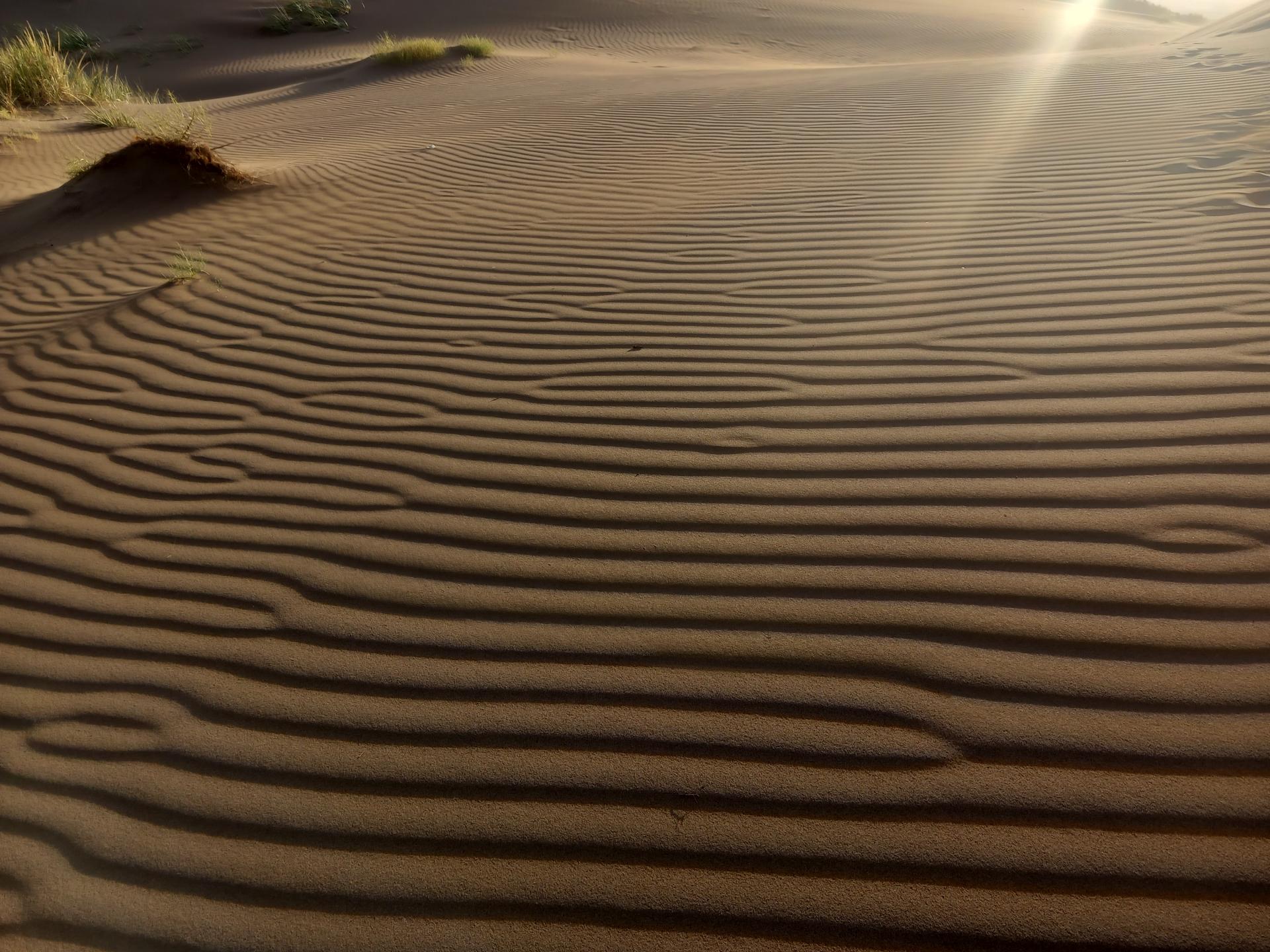 عکس آق قوم مینق 