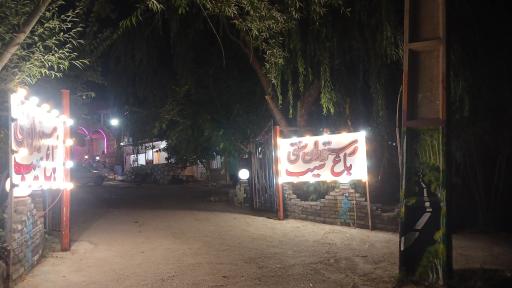عکس گل دشت