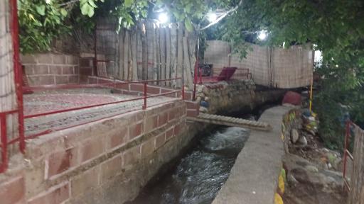 عکس گل دشت