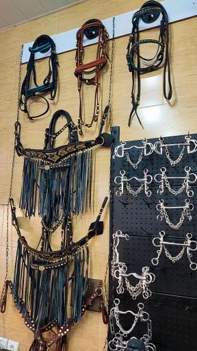 عکس لوازم سوارکاری ایران رخش