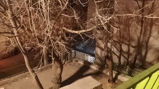 عکس پارک نخجوان