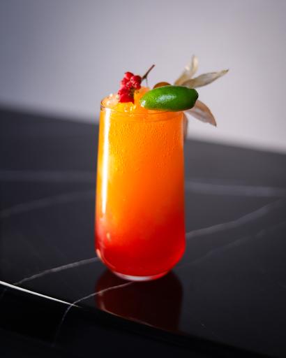 رنگ و ابزار سهند