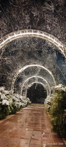 عکس باغ آکسارای