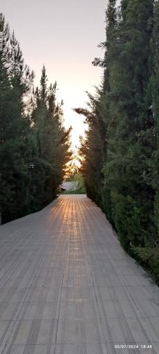 عکس باغ آکسارای