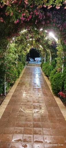 عکس باغ آکسارای